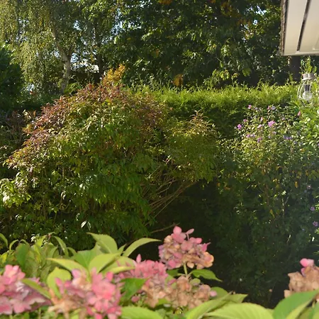 Kiek Mol In Appartement